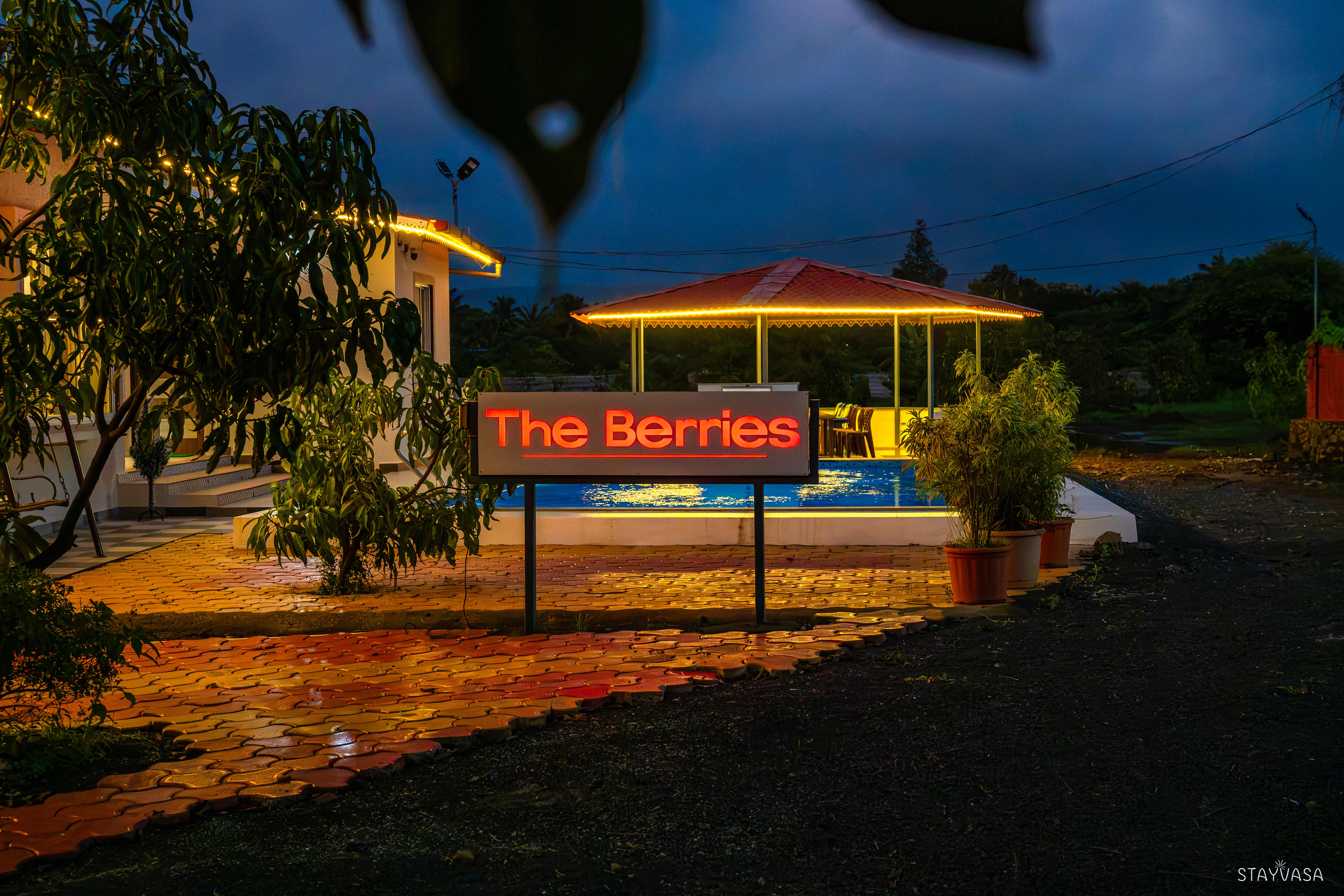 Stay vasa- The Berries